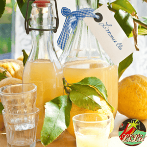 Limoncello maken
