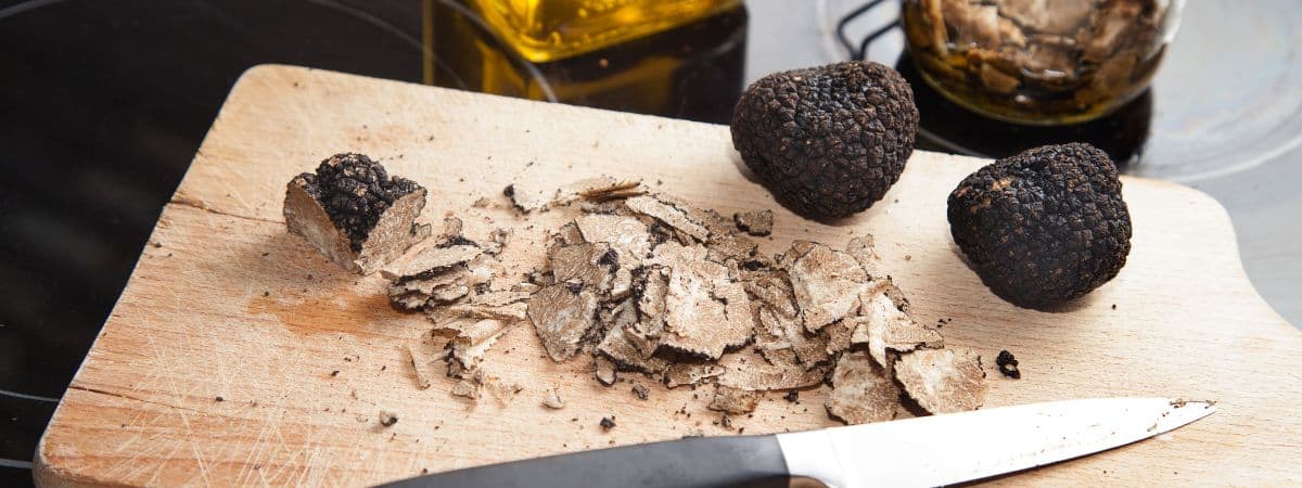 Truffel - Header